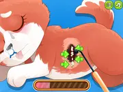 Princess' Pup Rescue